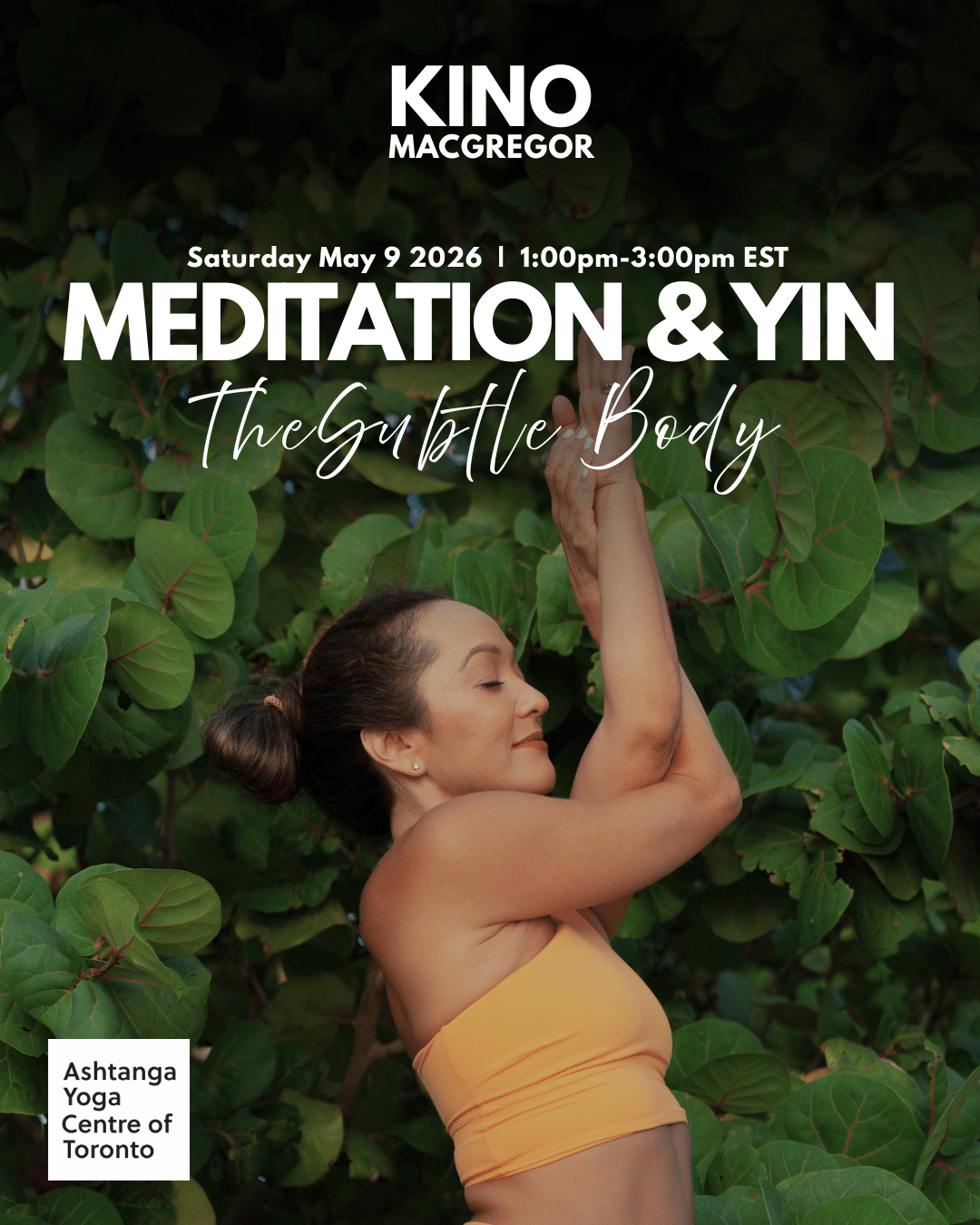 KINO 2026 Poster Drafts (PLAIN social size).zip - 4